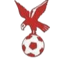 https://img.bclite.com/img/football/team/4802d26df935b78bb2fcdbbff36e8864.png